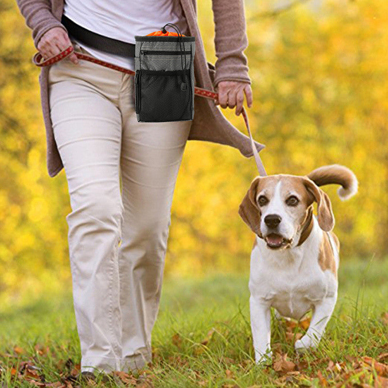 A person wearing the grey treat pouch while walking their dog in a park